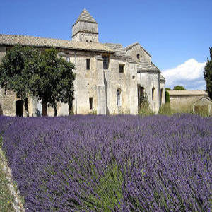 St remy de provence- chambres d hotes - luberon - vaucluse - la bastide des songes